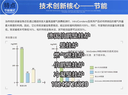 营口壁挂采暖炉专业选购与技术咨询服务指南